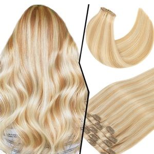 Blonde/Brown Highlights ClipIn Extensions